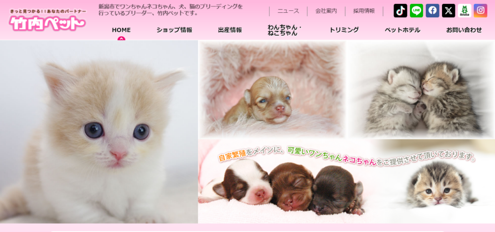 竹内ペット 新津本店の公式サイト