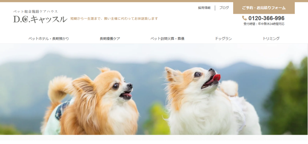 D.C.キャッスル 本社事務局の公式サイト