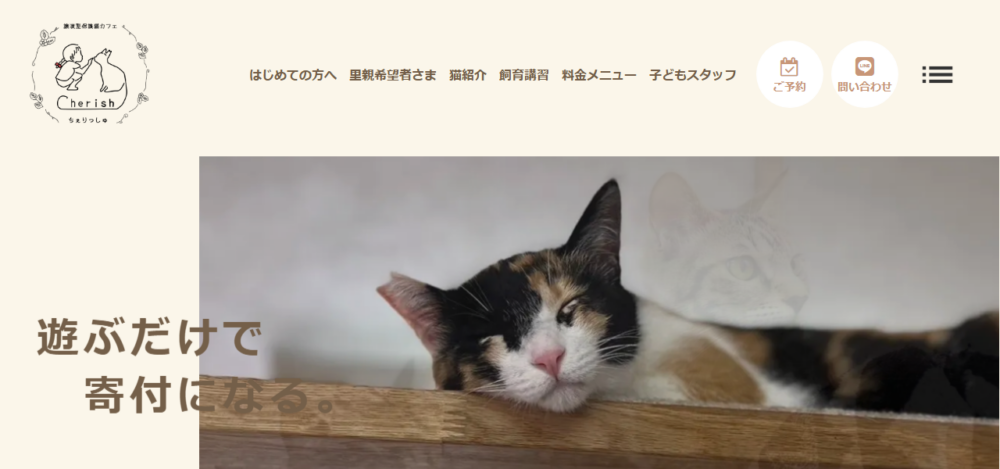 譲渡型保護猫カフェ cherishの公式サイト